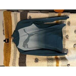 Puma Women's Teal Striped Hooded Sweatshirt - Size Medium